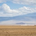 TZA ARU Ngorongoro 2016DEC26 Crater 082 : 2016, 2016 - African Adventures, Africa, Arusha, Crater, Date, December, Eastern, Month, Ngorongoro, Places, Tanzania, Trips, Year